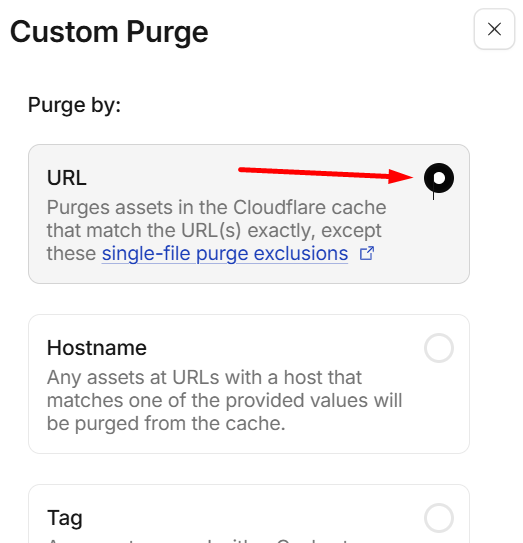Enter the full absolute URL of the file you want to clear.